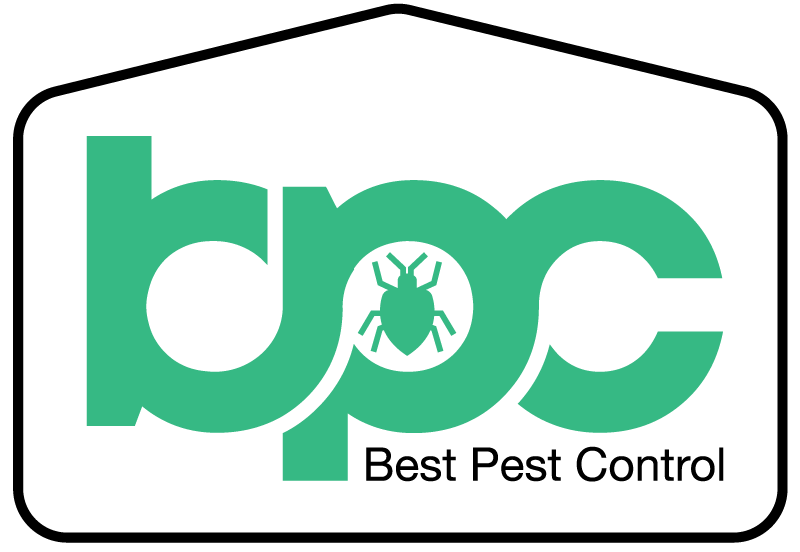 bpc log.png