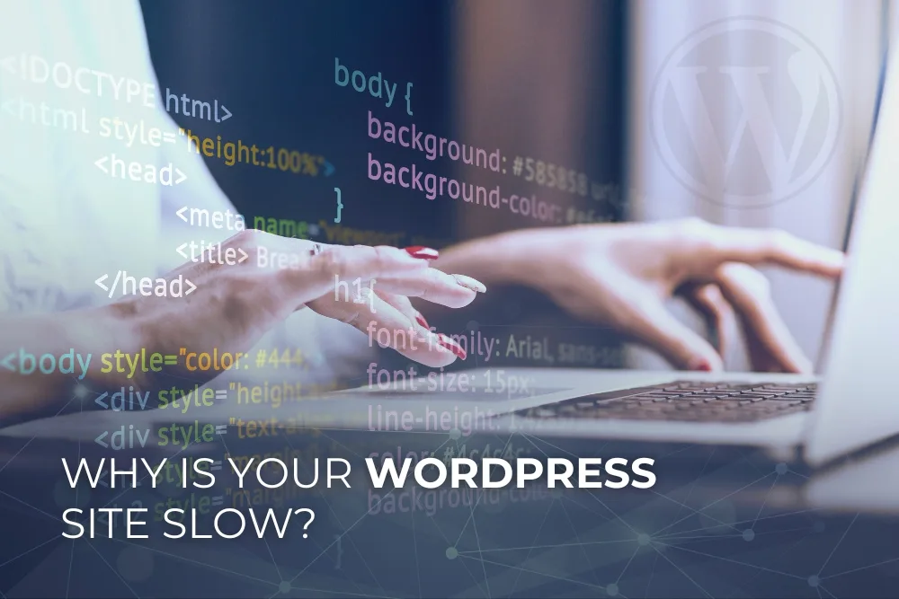 Why Is Your WordPress Site Slow