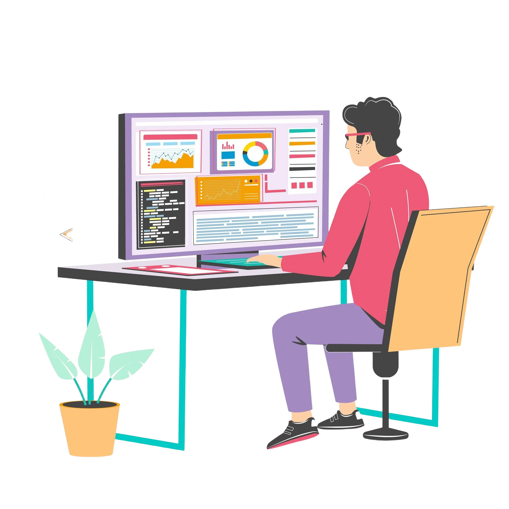professional web development company